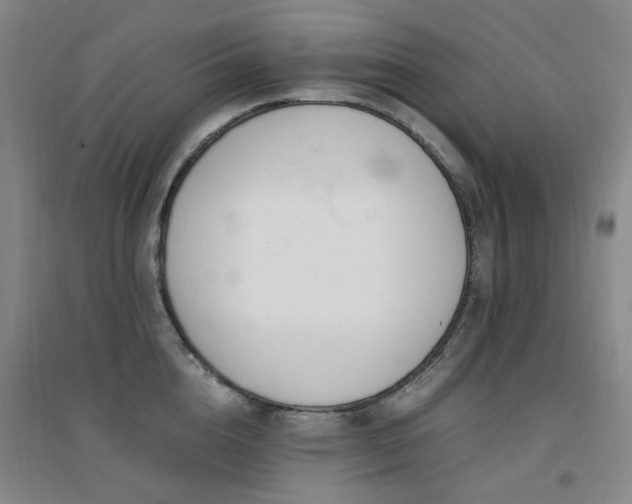 X0000094430856200711081224