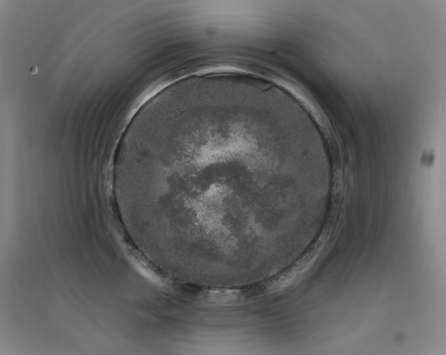 X0000094430858200711081224