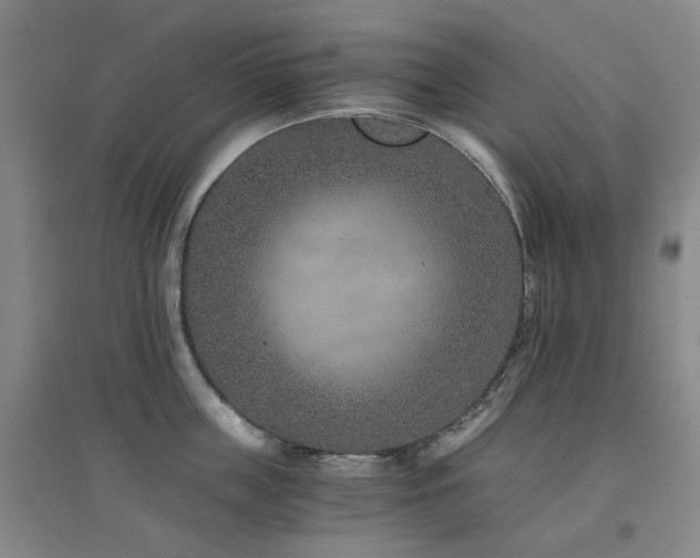 X0000094430859200711081224