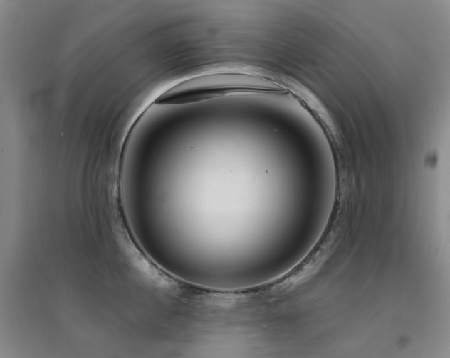 X0000094430860200711081224
