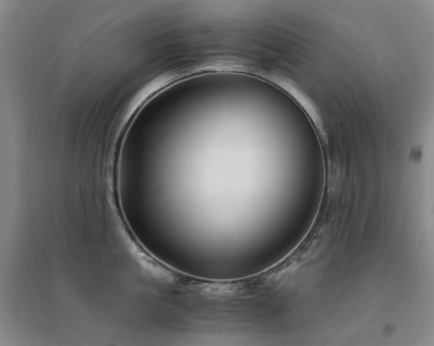 X0000094430861200711081224