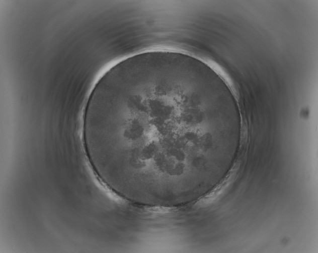 X0000094430862200711081224