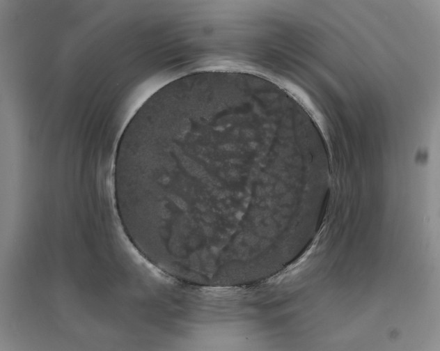 X0000094430863200711081224