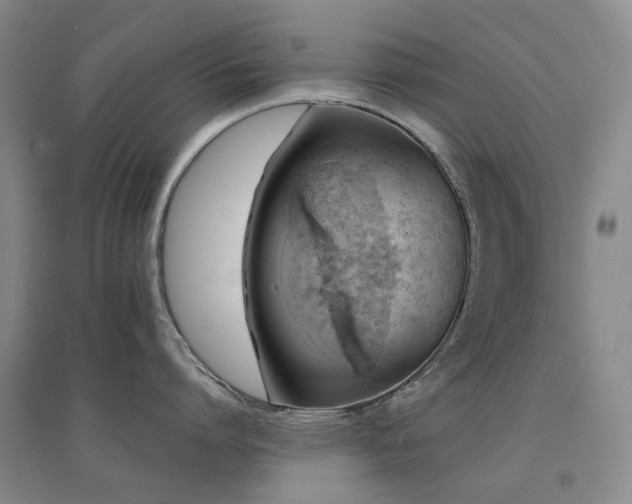 X0000094430864200711081224