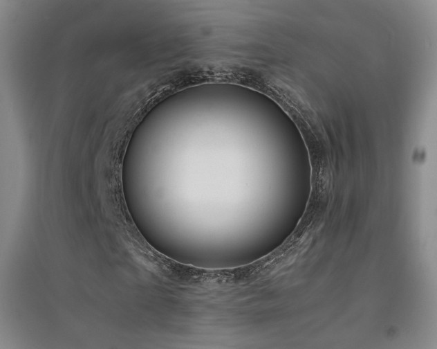 X0000094430865200711081223