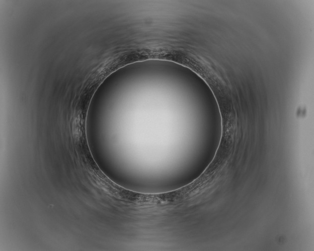 X0000094430866200711081223