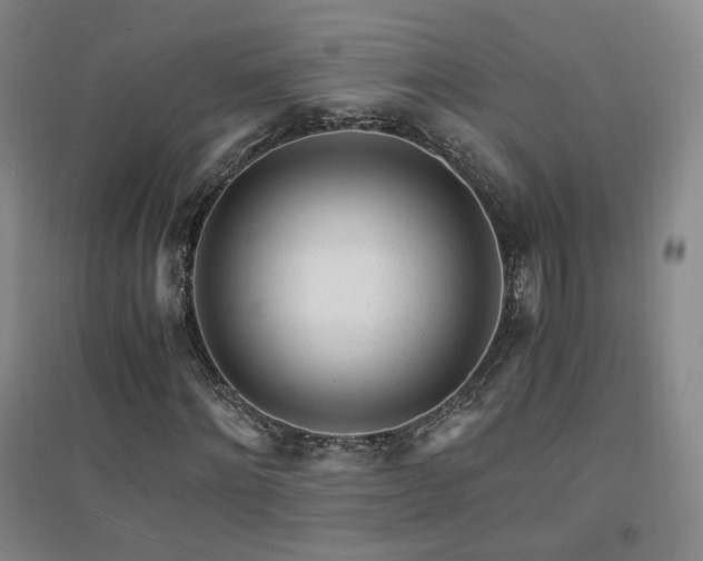 X0000094430868200711081223