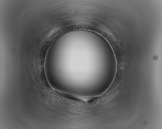 X0000094430869200711081223