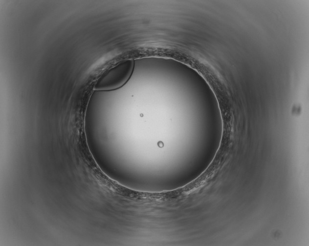 X0000094430870200711081223