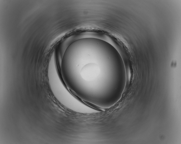 X0000094430872200711081223