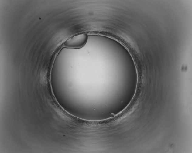 X0000094430873200711081223
