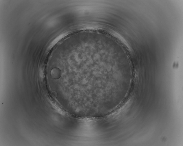 X0000094430874200711081223