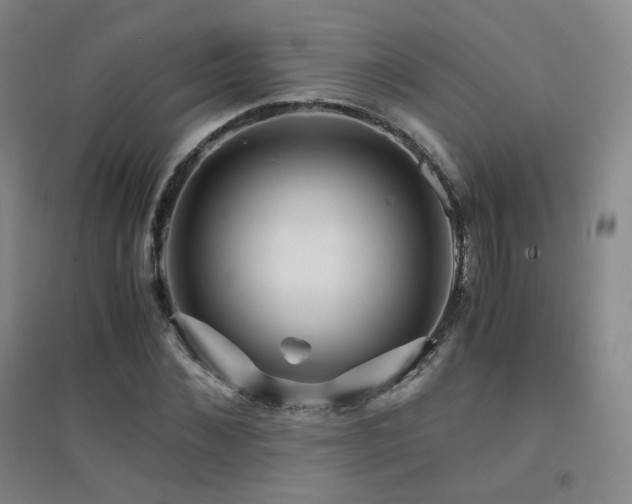 X0000094430876200711081223