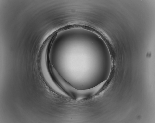 X0000094430877200711081223