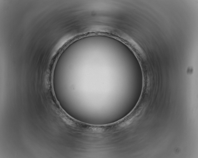 X0000094430878200711081223