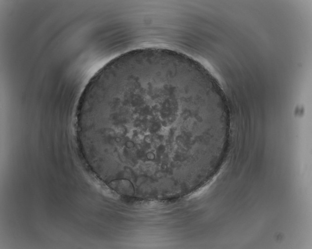 X0000094430879200711081223