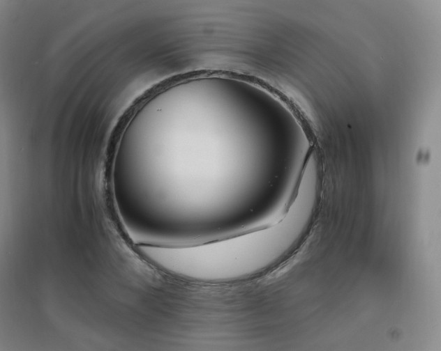 X0000094430880200711081223