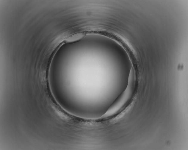 X0000094430881200711081223