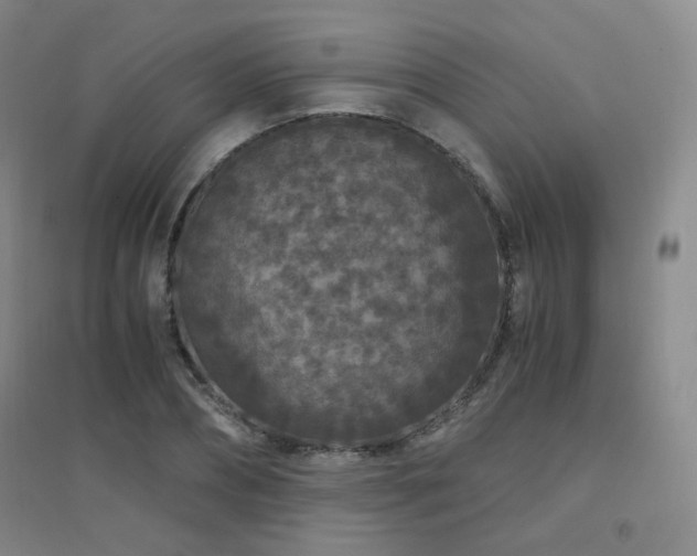 X0000094430882200711081223