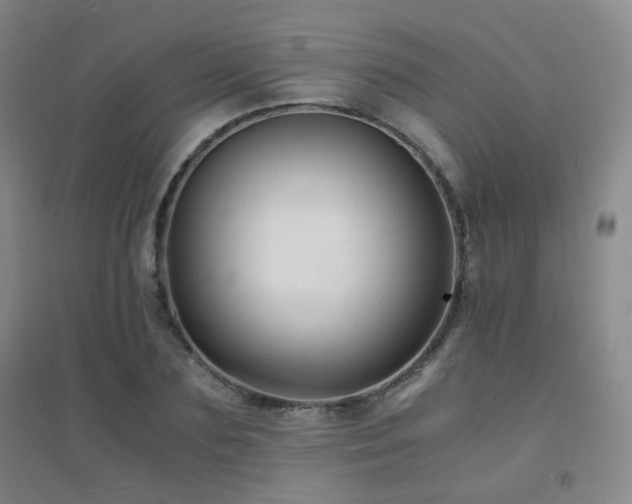 X0000094430883200711081223