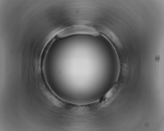 X0000094430884200711081223