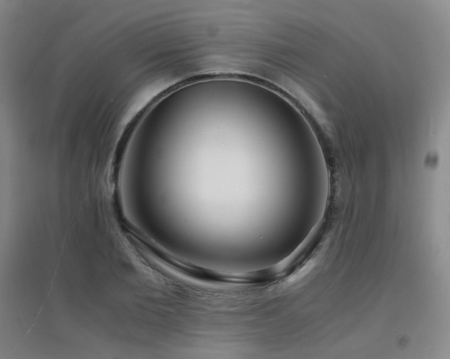 X0000094430885200711081223