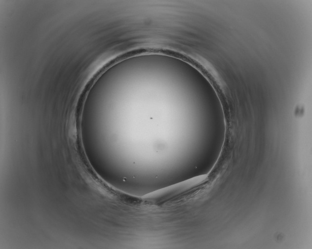 X0000094430887200711081223