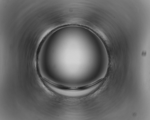 X0000094430888200711081223