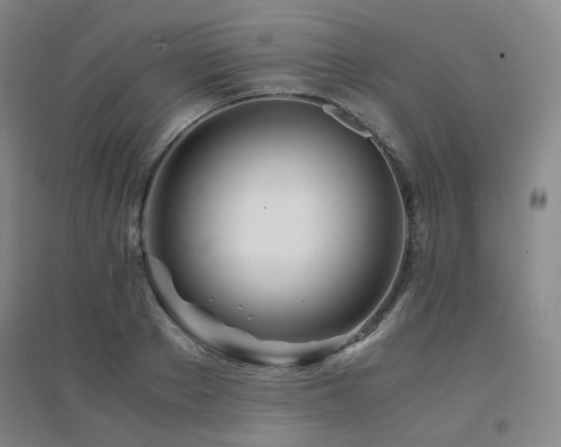 X0000094430889200711081223