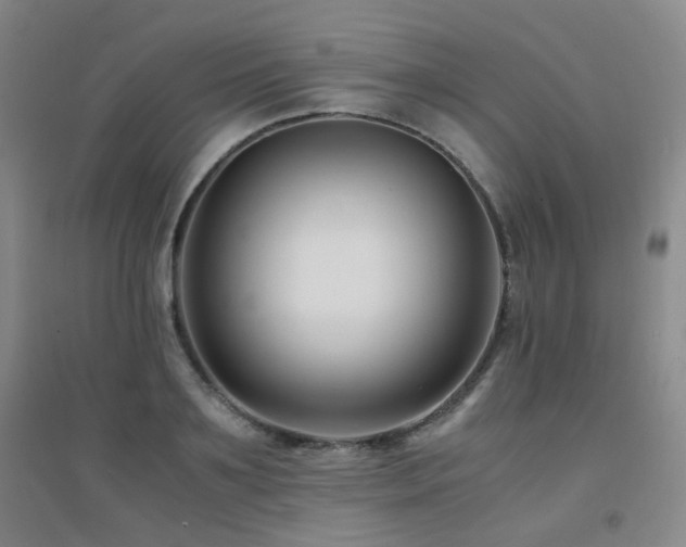 X0000094430891200711081223