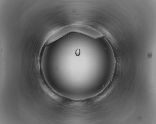 X0000094430892200711081223