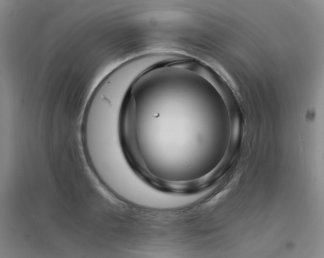 X0000094430893200711081223