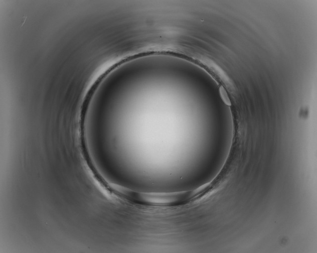 X0000094430894200711081223