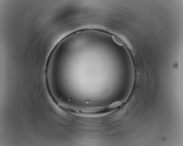 X0000094430895200711081223
