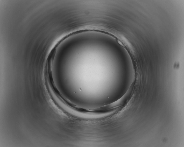 X0000094430896200711081223
