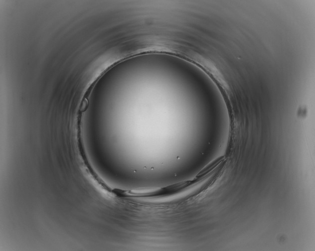 X0000094430898200711081223