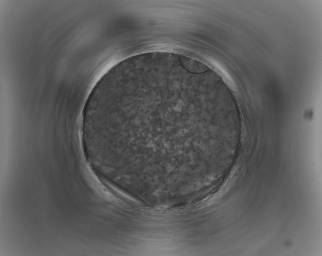 X0000094430899200711081223