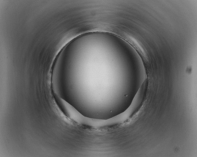 X0000094430900200711081223