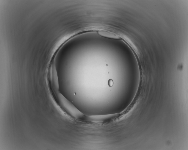 X0000094430901200711081223
