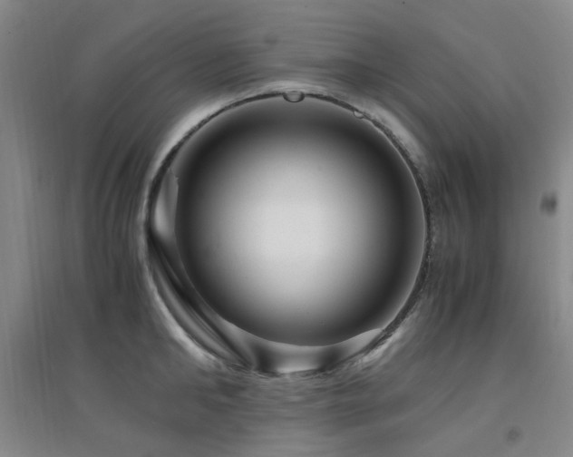 X0000094430902200711081223