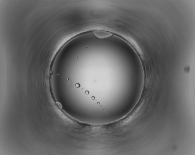 X0000094430903200711081223
