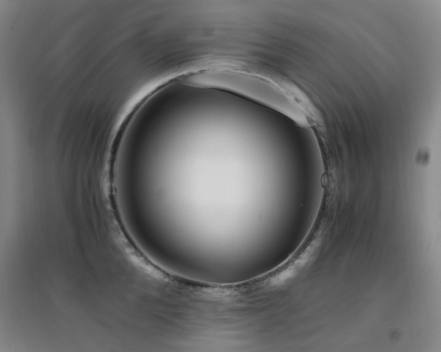 X0000094430904200711081223