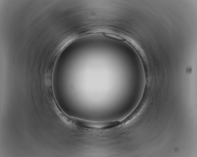 X0000094430905200711081223