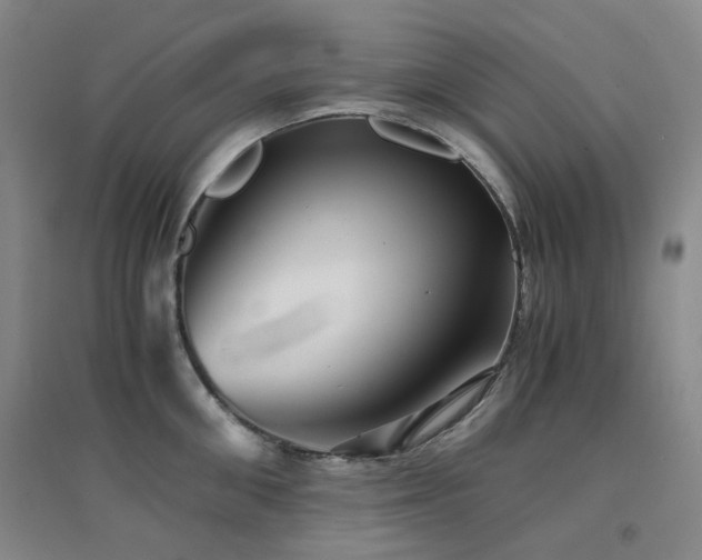 X0000094430906200711081223