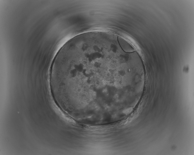 X0000094430907200711081223
