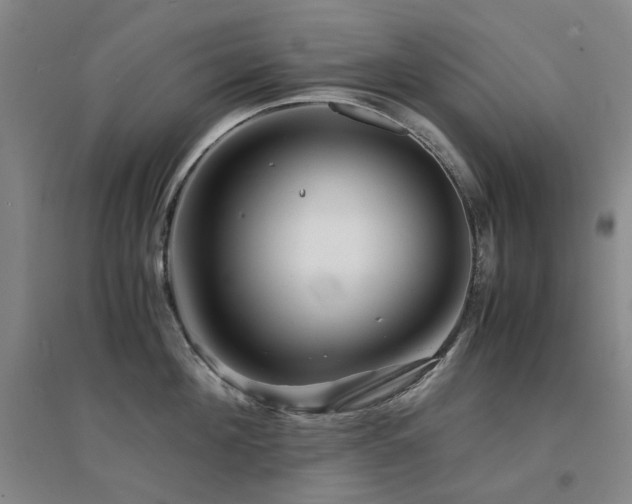 X0000094430908200711081223