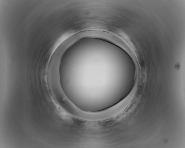 X0000094430909200711081223