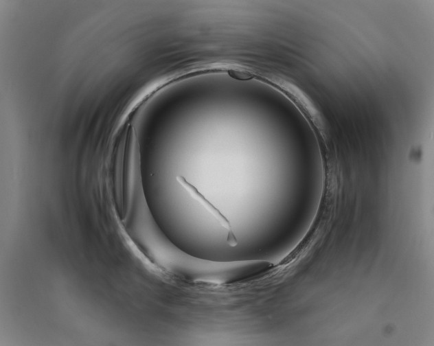 X0000094430910200711081223