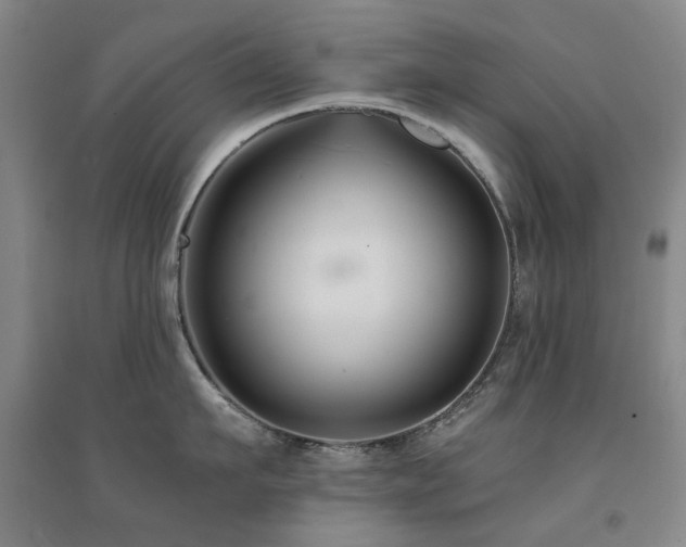 X0000094430911200711081223