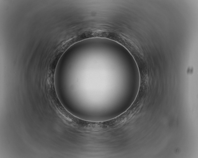 X0000094430914200711081222